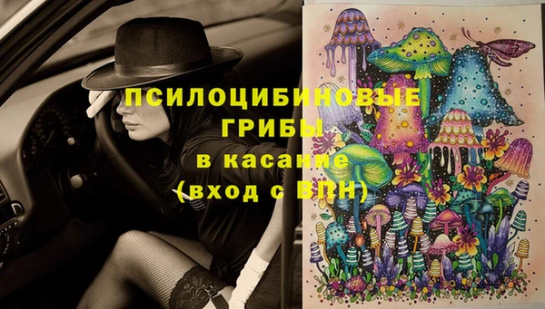 шишки Абинск